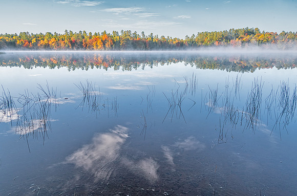 Reed and clouds_DSC4339-