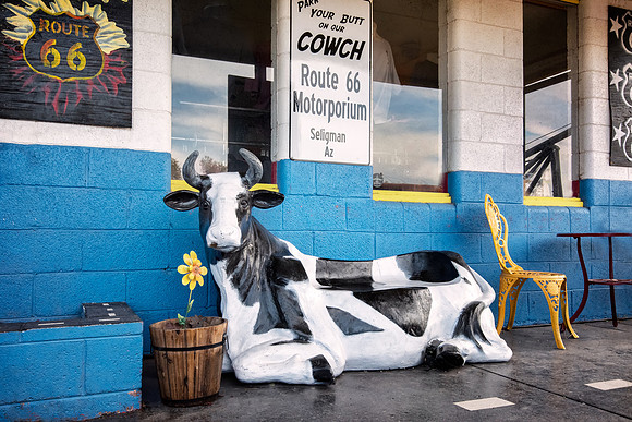 Cow couch_PMD3544T