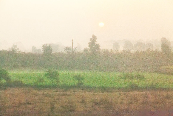 Foggy sunrise over fields_MG_9601