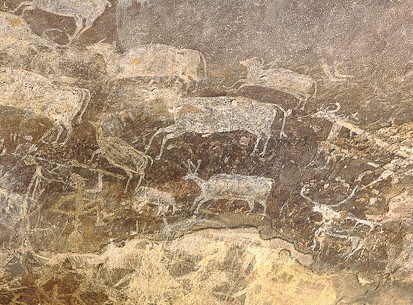 Cave paintings oxen Bhimbetka_MG_9666
