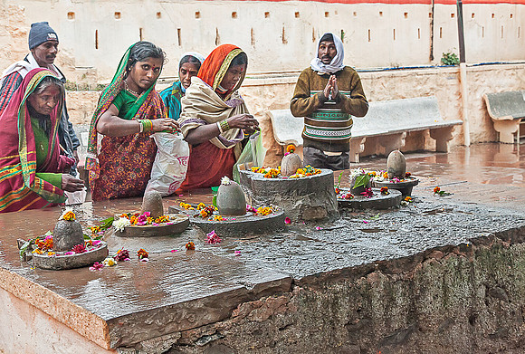 Faithful and flowers_MG_9794