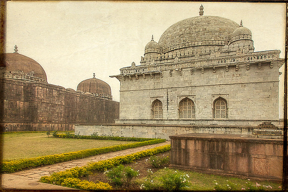 Mosque and roses textr_MG_9904