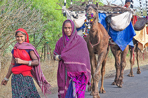Gypsies and camels_MG_9912