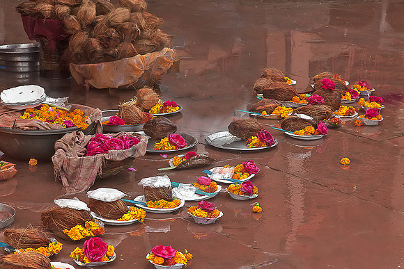 Offerings of flowers and coconuts_MG_9815