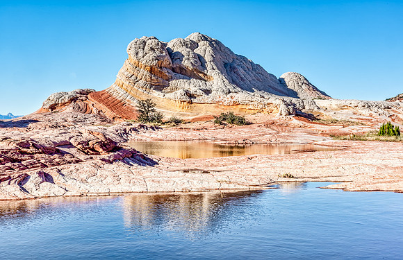 WhitePockets 1_DSC3278