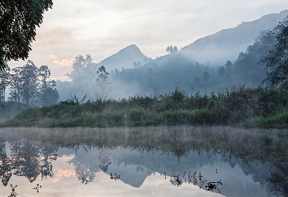 Foggy lake at dawn, Kerala