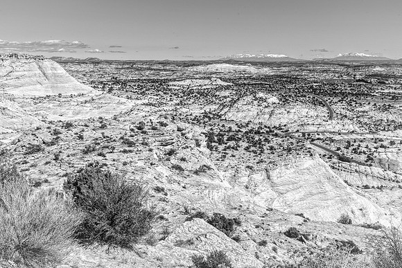Rocky vista_DSC2951