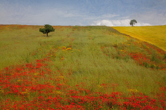 Poppies and 2 trees landscape oil_MG_7822