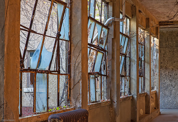 windows IMG_7454