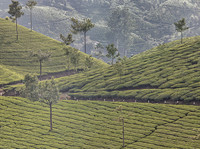 Kerala and Tamil Nadu