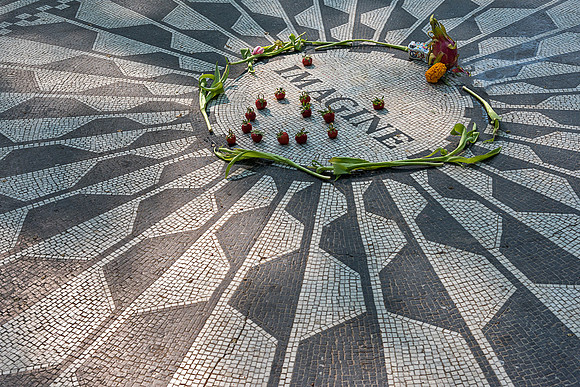 Strawberry field_DSC0487