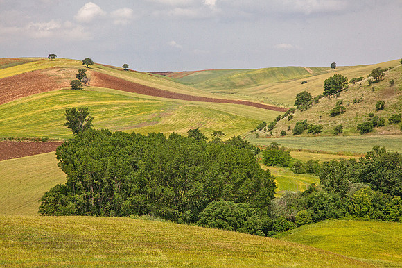 Rolling hills_MG_7826
