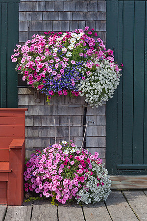 Maine Flower boxes_MG_8219