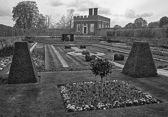Hampton Court spring flowers B&W_MG_4533