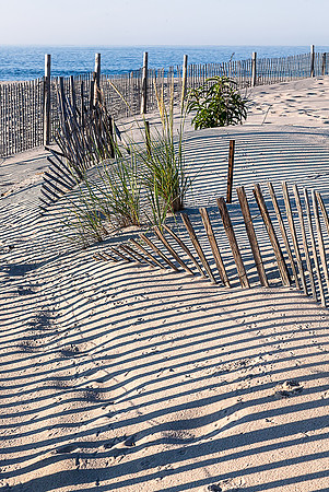 Beach fences and shadows_MG_8853
