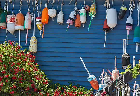 Lobster buoys and red roses_MG_8044