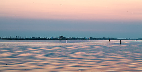 Ripples at dawn Cape May_MG_8648